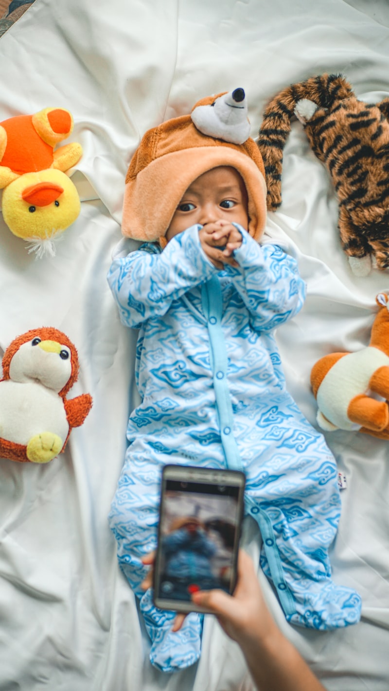 bayi bulucu continental