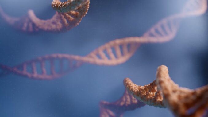 uploaded-image-bayi-gene-1696954708602